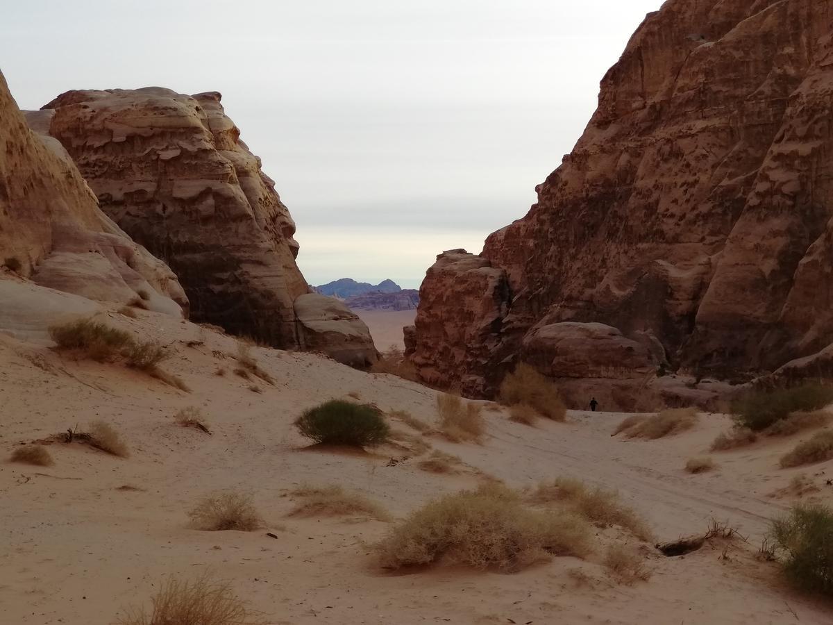 Heart Rum Camp Wadi Rum Eksteriør bilde